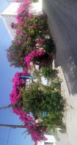 Photos for house 8457