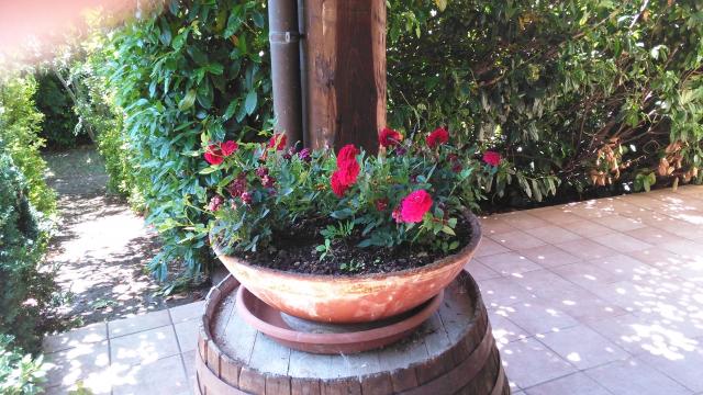 Photos for house 8504