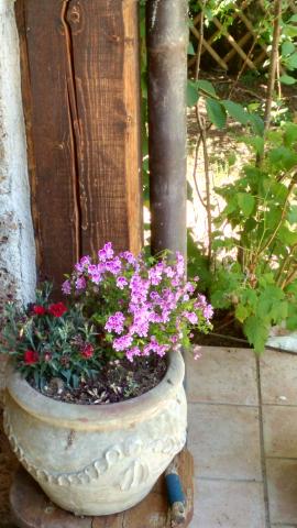 Photos for house 8504