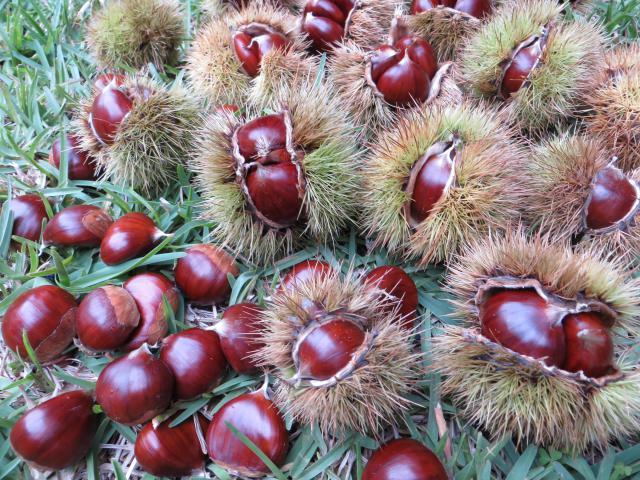 Photos for house 8539