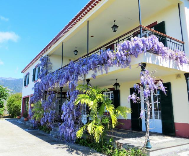 Photos for house 8539