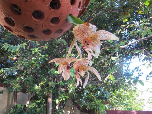 Photos for house 8539