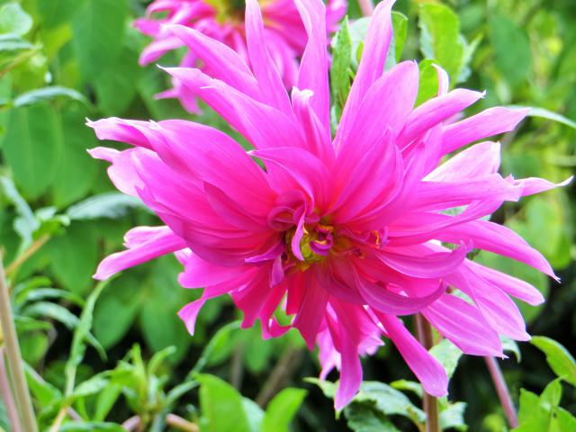 Photos for house 8539