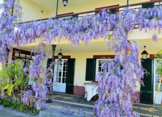 Photos for house 8539