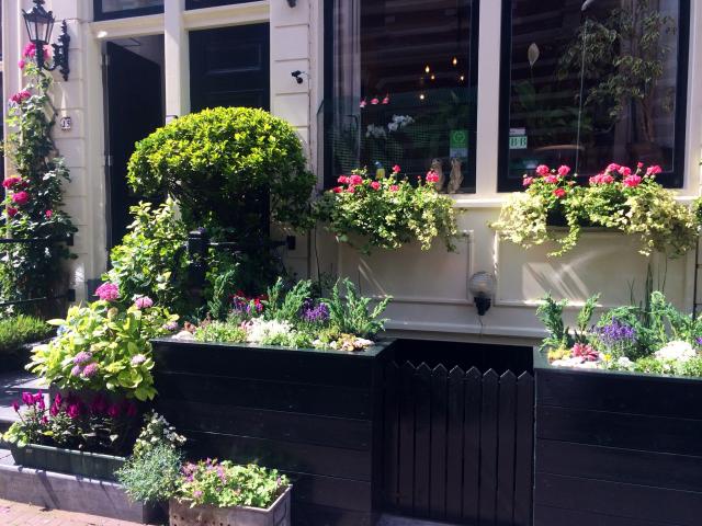 Photos for house 8562