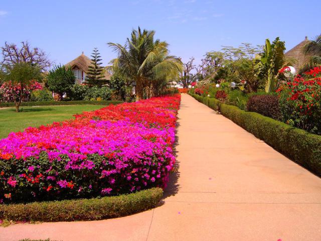 Photos for house 8711