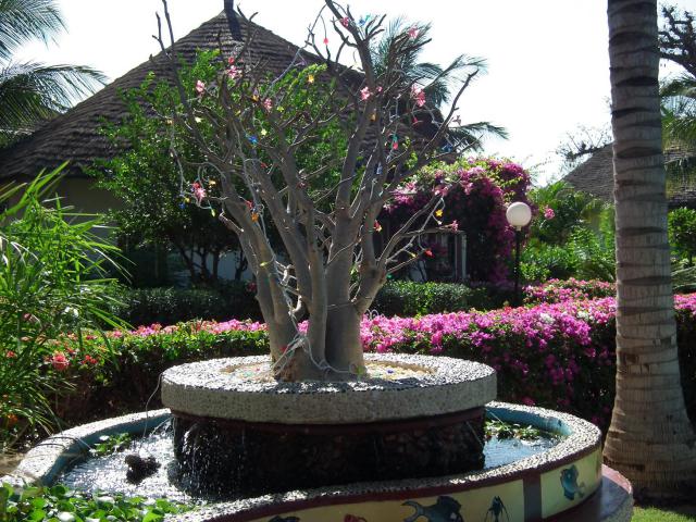 Photos for house 8711