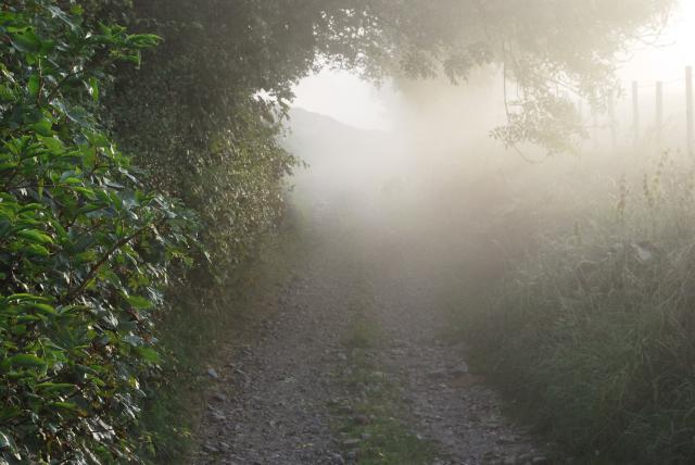 Photos for house 8776