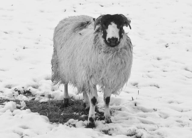 Photos for house 8776