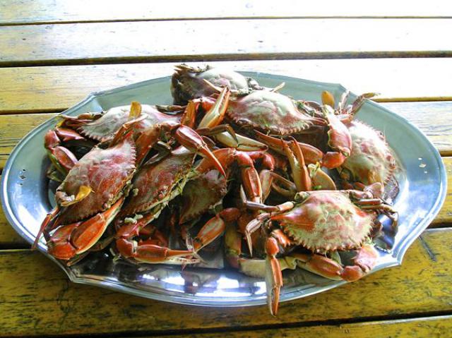 Photos for house 8938