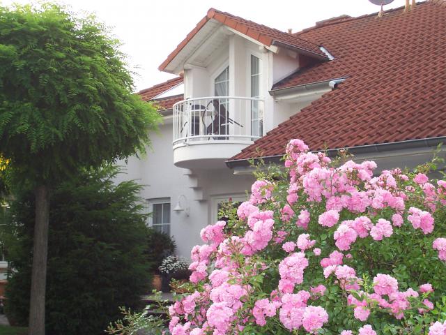 Photos for house 9160