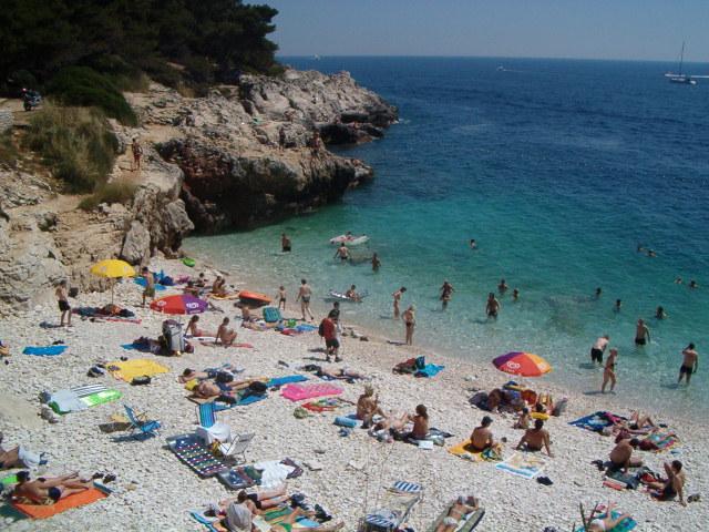 Photos for house 9303