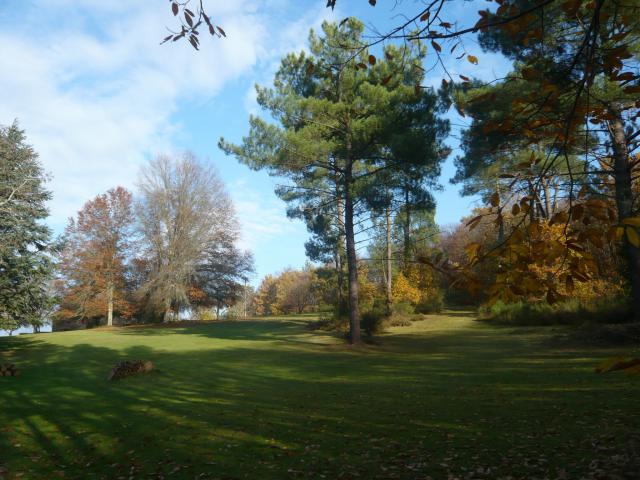 Photos for house 9631