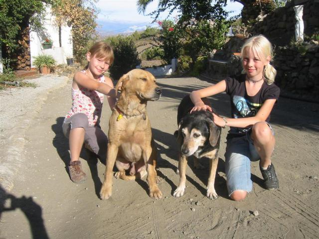 Photos for house 9690