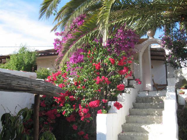 Photos for house 9690