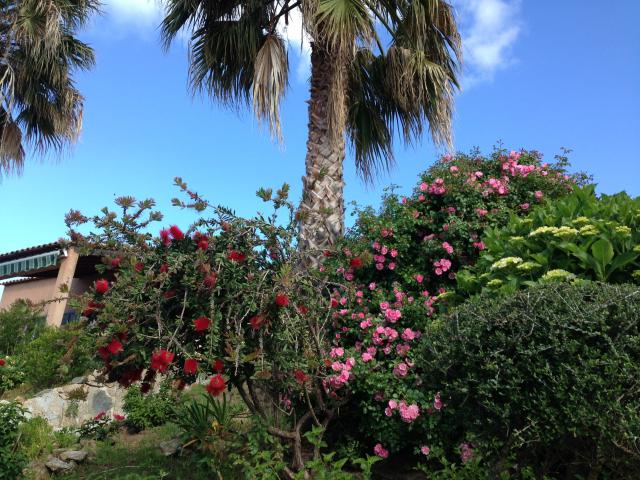 Photos for house 9828