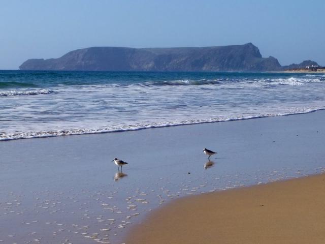 Photos for house 9845