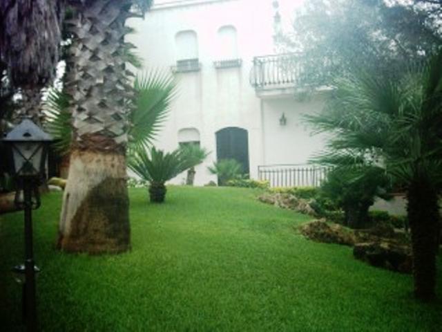 Photos for house 11036