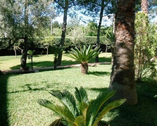 Photos for house 11036