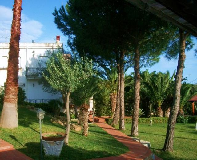 Photos for house 11036