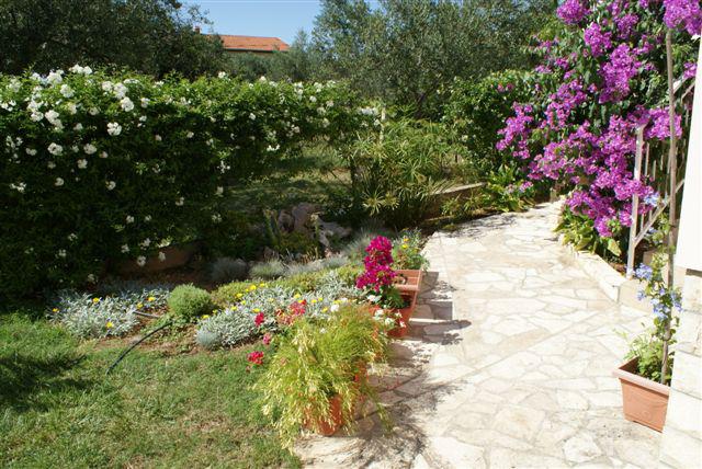 Photos for house 11180