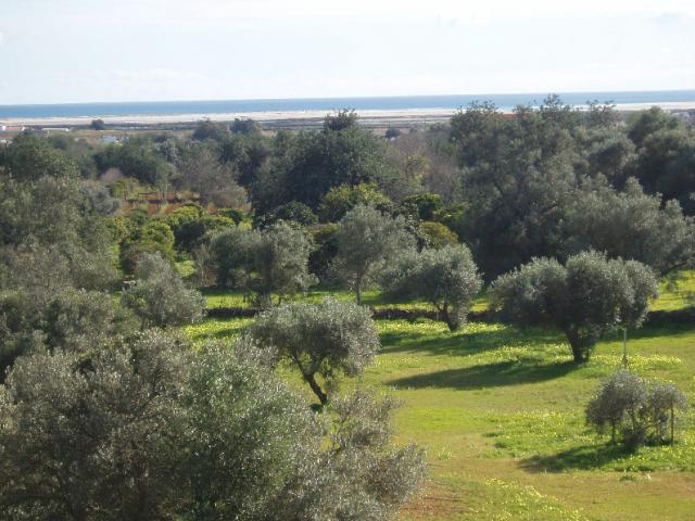 Photos for house 11320