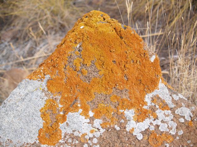 Photos for house 10191