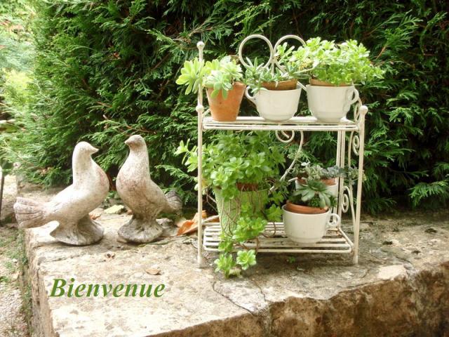 Photos for house 10456