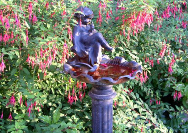 Photos for house 10456