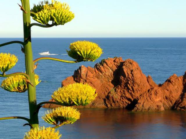 Photos for house 10630