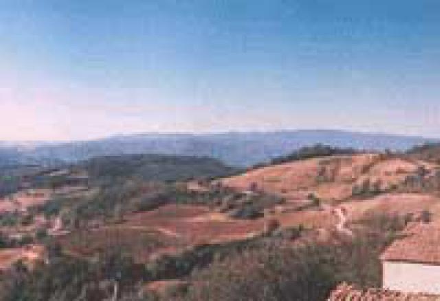 Photos for house 10722