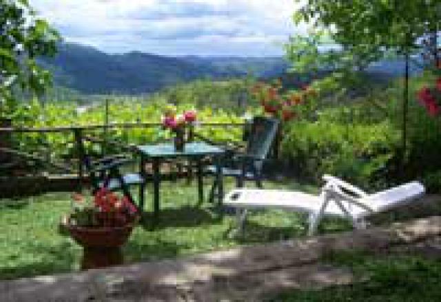 Photos for house 10722