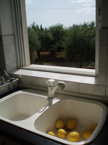 Photos for house 10793