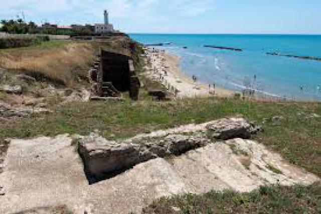 Photos for house 19619