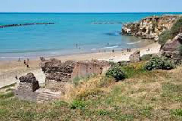 Photos for house 19619