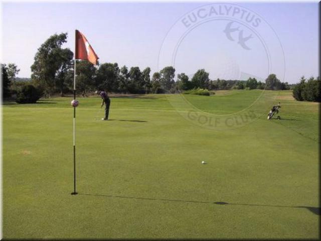 Photos for house 19619