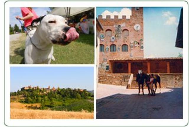 Photos for house 19622