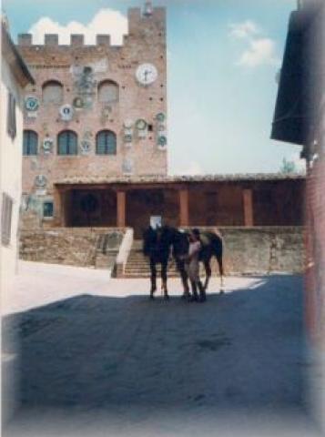 Photos for house 19622