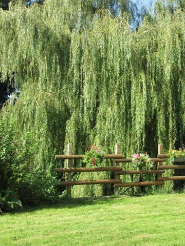 Photos for house 148313