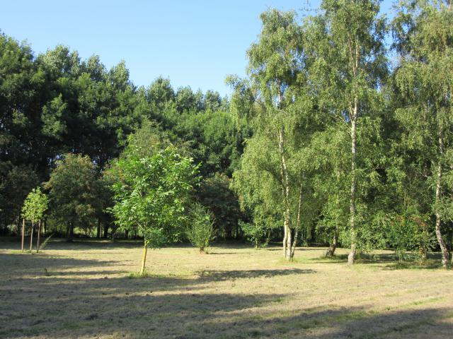 Photos for house 148313