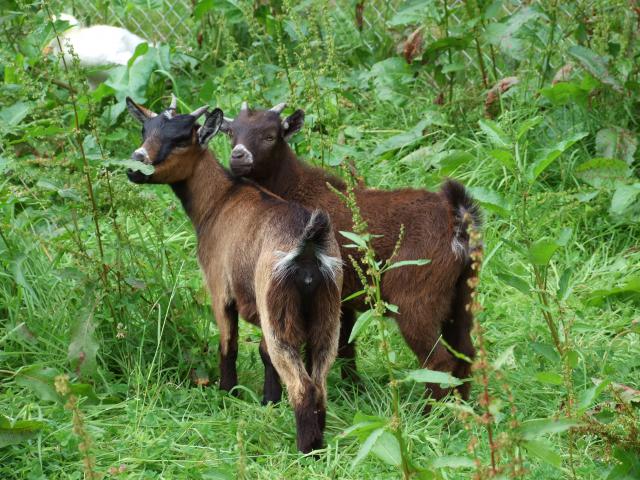 Photos for house 148313