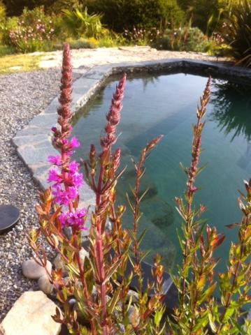 Photos for house 148420