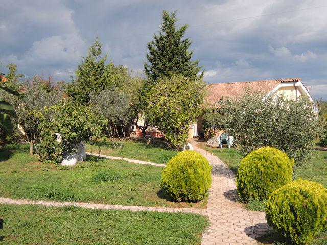 Photos for house 148423