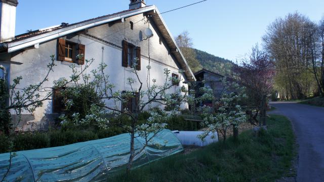 Photos for house 148426