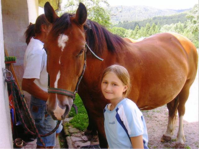 Photos for house 148426