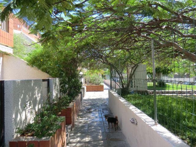 Photos for house 148441