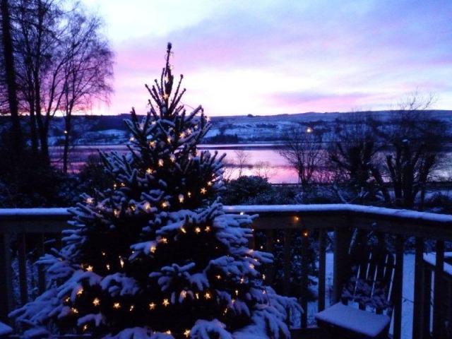 Photos for house 148461