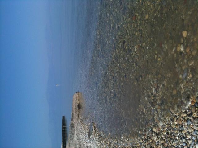 Photos for house 148593