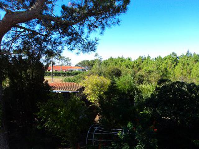 Photos for house 148613