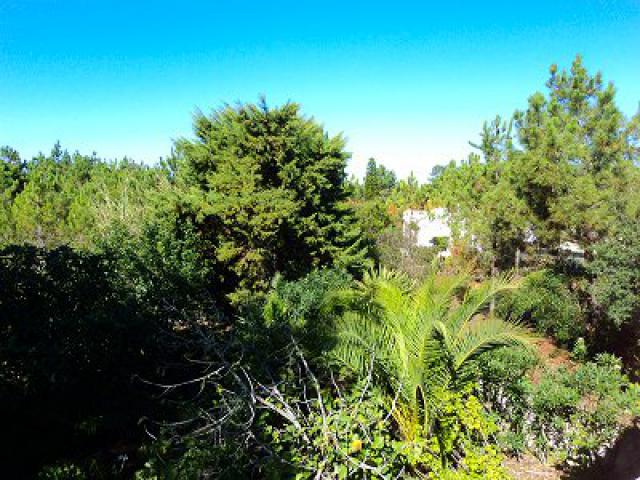 Photos for house 148613